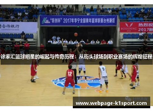 徐家汇篮球明星的崛起与传奇历程：从街头球场到职业赛场的辉煌征程